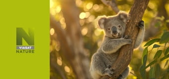 Неспокійна планета S1E1 - Ліс юрського періоду