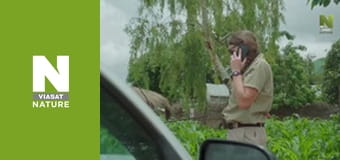 Malawi Wildlife Rescue - How To Catch A Lizard