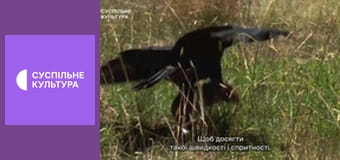 Д/с "Суперздібності тварин". "Зір".