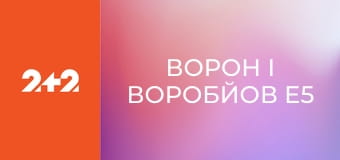 Ворон і Воробйов E5