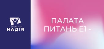 Палата питань E1 - Гештальт-психолог Андрій Монастирський