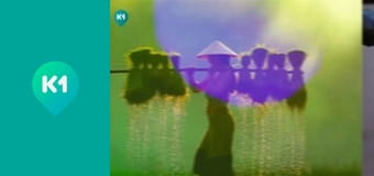 "Інший світ".