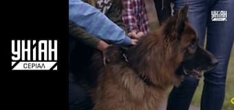 Новобранець