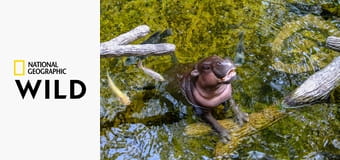 Самая смертоносная подборка в Африке S5E2