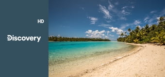 Голые и напуганные: на необитаемом острове S1E5