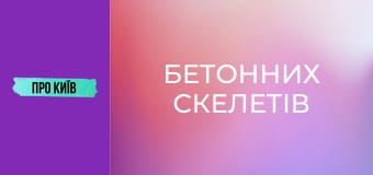 Недобудови Києва: Львівська площа, Дорогожичі, Лук'янівка. Причини появи "бетонних скелетів".