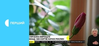 "Суспільне. Студія". Інформаційний проєкт. Наживо.