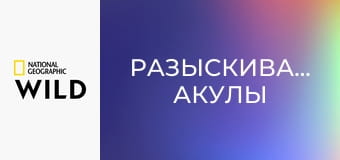 Разыскиваются: акулы