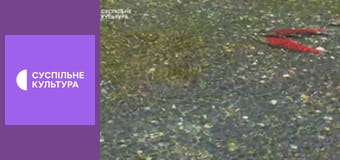 Д/с "Спецпризначенці тваринного світу". "Морська піхота".