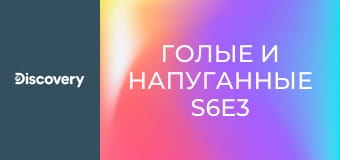 Голые и напуганные S6E3 - Кровь, пот и страхи