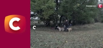 "История одного преступления", 8 сезон, 28 эп. "Привет из прошлой жизни".