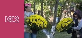 Квадратний метр E8