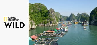 Дикий Вьетнам S1E1