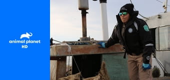 Правосудие Техаса S5E6 - Полуночная погоня Правосудие Техаса S5E6 - Полуночная погоня