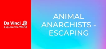 Animal Anarchists - Escaping the Wasp