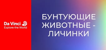 Бунтующие животные - Личинки жуков активизируются ночью