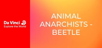 Animal Anarchists - Beetle Larvae Get Busy at Night