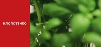 Что приготовить на завтрак - Выпуск 28