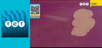 Чому у ялинки колючі хвоїнки