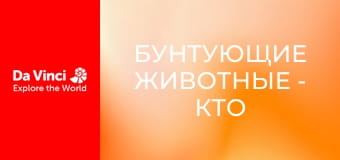 Бунтующие животные - Кто живёт в этой пещере?