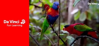 Посольство животных - День из жизни Хорхе. Посольство животных - День из жизни Хорхе.