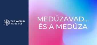 Medúzavadászat és a medúza elkészítési módjai. Kína. Medúzavadászat és a medúza elkészítési módjai. Kína.
