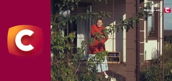 "Сліпа". Царівна-жаба. "Сліпа". Царівна-жаба.