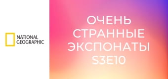 Очень странные экспонаты S3E10 - Холм желаний, изолятор и скелет в доспехах