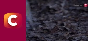 "Історія одного злочину", 8 сезон, 41 еп. "Турбота до нестями".