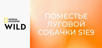 Поместье луговой собачки S1E9 - Наводнение проблем