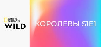 Королевы S1E1