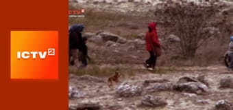 Х/ф "Снайпер: Наследие".