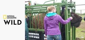 Доктор Окли: Ветеринар из Юкона S7E5 - Не будите спящего дикобраза