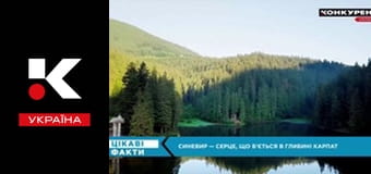 Цікаві факти.