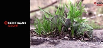 Невигадані історії. Східний фронт.