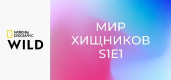 Мир хищников S1E1