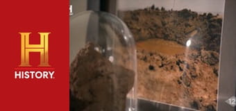 Необъяснимое с Уильямом Шетнером, 87 эп. Инопланетная болезнь.