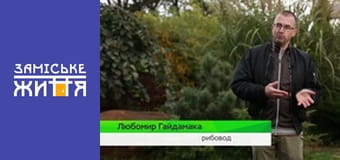 "Удачный бизнес" сезон 1 серия 3 "Удачный бизнес" сезон 1 серия 3