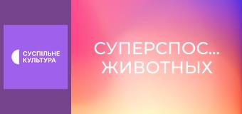 Д/с "Суперспособности животных". "Ночные животные".