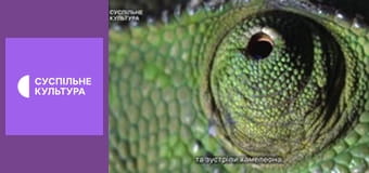 Д/с "Суперздібності тварин". "Слух".