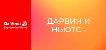 Дарвин и Ньютс - Новый душ Ропуна - Как построить каменную стену