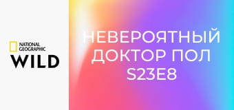 Невероятный доктор Пол S23E8