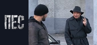 Dog, Season 5, Episode 14