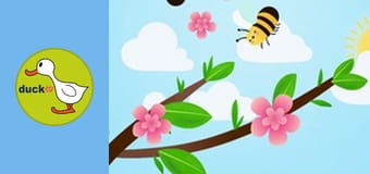 Happy Garden - Peach