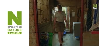 Рятувальники тварин у Малаві - Сезон 2 - Нова мама Циби