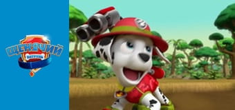 Щенячий патруль. Сезон 5 – серія 2