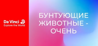 Бунтующие животные - Очень красивая ловушка для насекомых