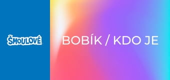 Bobík / Kdo je maskovaný šmoula Bobík / Kdo je maskovaný šmoula