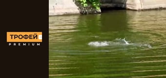 Рецепти Мисливської Кухні. Серiя 15