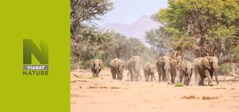 Провідні леді природи